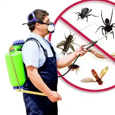 pest control Sheffield